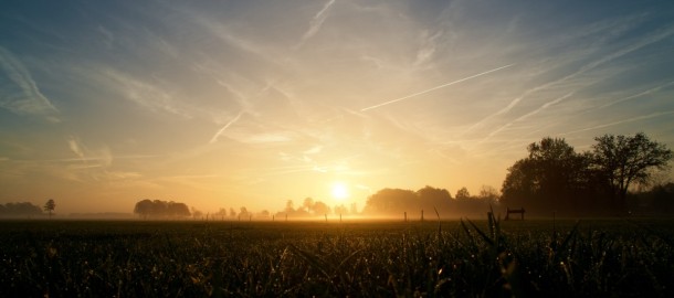 zonsopgang+weiland+met+mist.jpg