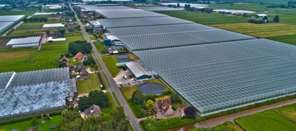Tuinbouwgebied De Koekoekspolder.jpg